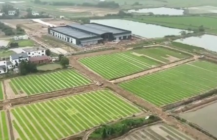 江西南昌新建區(qū)：中稻生產(chǎn)全面鋪開(kāi) 智能育秧提質(zhì)穩(wěn)產(chǎn)