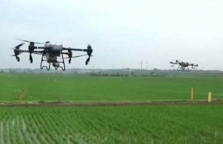 湖南臨湘：科技防控病蟲害 助力早稻穩(wěn)產(chǎn)增產(chǎn)