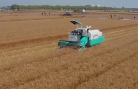 【在希望的田野上】三夏時節(jié)農(nóng)事忙 奠定豐收好基礎