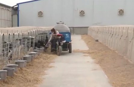 新疆兵團(tuán)：畜禽養(yǎng)殖為鄉(xiāng)村振興添活力