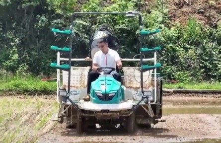 姚鵬飛：“慧”種田的莊稼漢