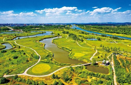 山東濟(jì)寧“3個(gè)三”模式擦亮國際濕地城市名片