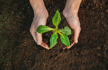 科技名詞 | 土壤顏色  soil color