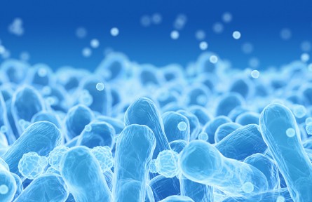 科技名詞 | 大腸菌群  Coliform