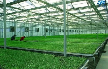 航天育種溫室，了解一下