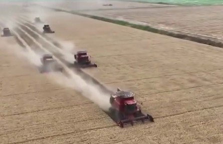 【在希望的田野上】“三夏”大規(guī)模小麥機(jī)收全面展開