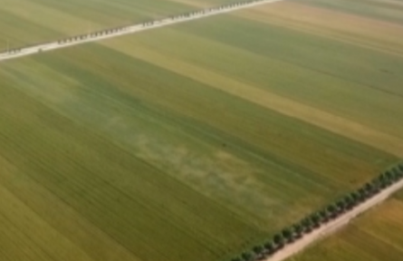 山東青島：牢記“國之大者” 保障糧食安全