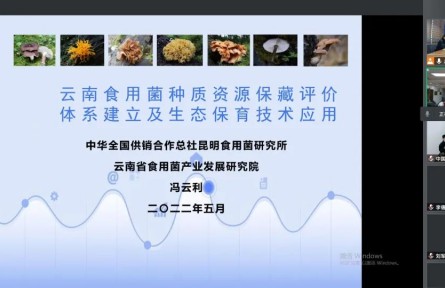 中華全國供銷合作總社昆明食用菌研究所“云南食用菌種質(zhì)資源收集保存、鑒定評價和生態(tài)促繁技術(shù)應(yīng)用”成果評價公告【2022（47號）】