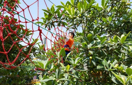 有“顏值”，更有“產(chǎn)值”——浙江杭州臨平美麗鄉(xiāng)村走訪見聞