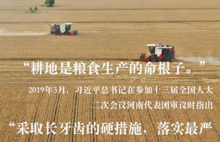 習(xí)近平總書記關(guān)切事|藏糧于地、藏糧于技，筑牢豐收之基