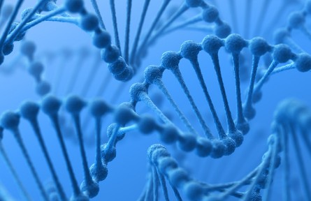 科技名詞 | 酵母人工染色體 yeast artificial chromosome，YAC