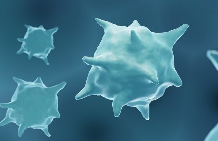 科技名詞 | 腫瘤壞死因子  tumor necrosis factor，TNF