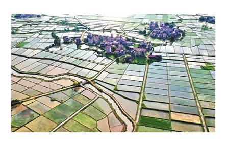 糧食生產(chǎn)如何應(yīng)對今夏“大烤”？