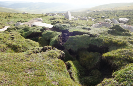 科普 | 青藏高原的凍土化了怎么辦？