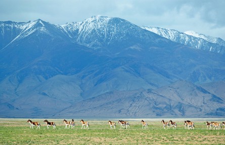 以美麗中國(guó)建設(shè)全面推進(jìn)人與自然和諧共生的現(xiàn)代化