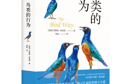 妙趣橫生的鳥(niǎo)類(lèi)私生活，顛覆你的傳統(tǒng)認(rèn)知