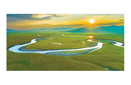 為什么大草原上樹很少？