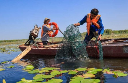 沿著河湖看新疆 | 新疆好地方，內(nèi)陸?zhàn)B“海鮮”