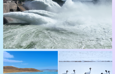 大河上下滿(mǎn)目新——推動(dòng)黃河流域生態(tài)保護(hù)和高質(zhì)量發(fā)展綜述