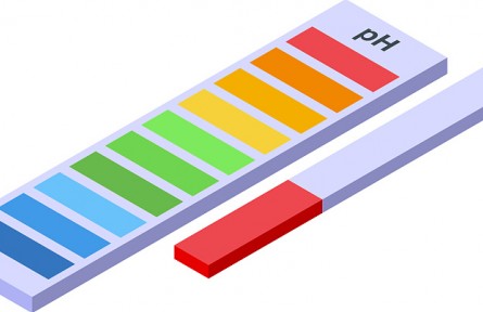 辟謠 |“食物酸堿平衡論”有科學(xué)依據(jù)嗎？