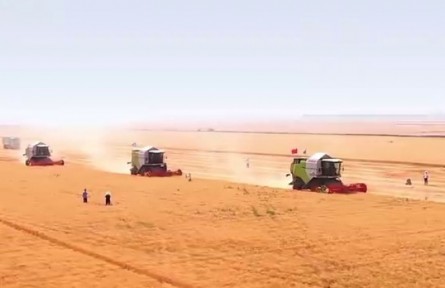 看河南如何“智”取田間，“種”出豐收！