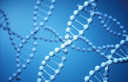 科技名詞 | 分子伴侶  Chaperone，Molecular chaperone