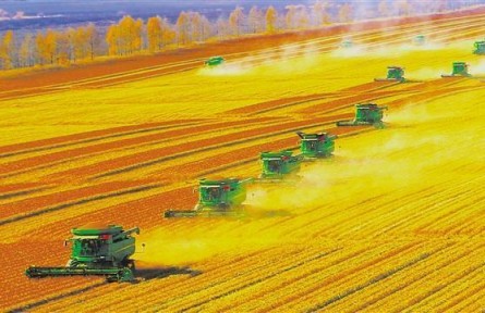 北大荒，了不起