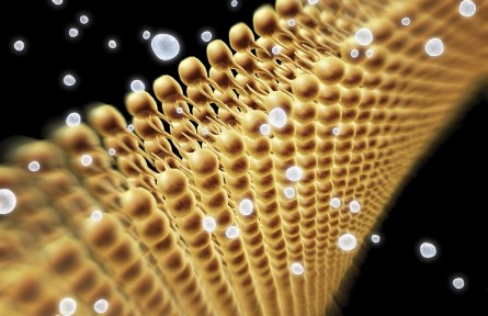 科技名詞 | 離子交換層析 ion exchange chromatography，IEC