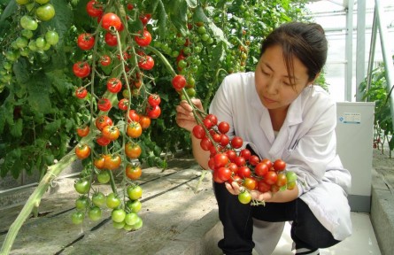 豐收季，來看這個國家農業(yè)科技園區(qū)的“黑科技”