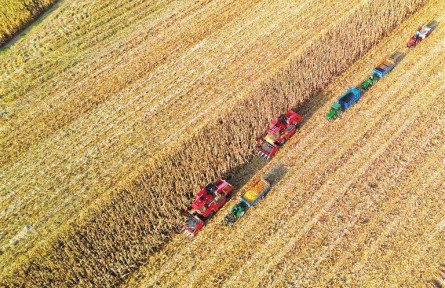 沿著總書記的足跡|吉林四平梨樹(shù)縣：黑土地迎豐收
