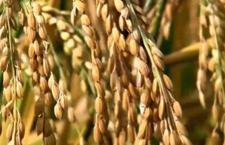 270億、200余億、15億，通過數(shù)據(jù)看經(jīng)濟(jì)……