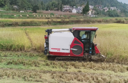 貴州福泉：推進農業(yè)現(xiàn)代化 賦能鄉(xiāng)村振興