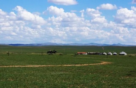 種薯、種羊暢銷全國！四子王旗草原綠色發(fā)展后勁足