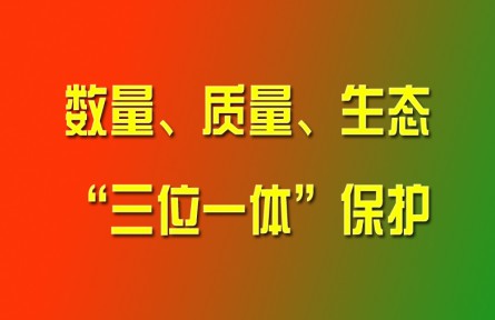 習(xí)近平論強(qiáng)化耕地?cái)?shù)量、質(zhì)量、生態(tài)“三位一體”保護(hù)