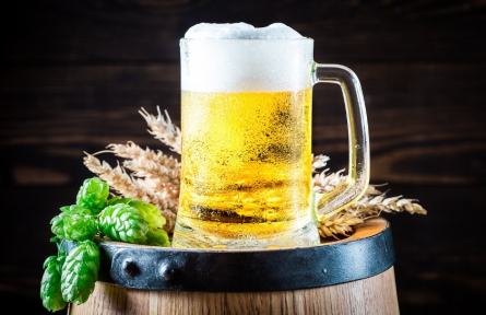 地球再熱下去，我們可能連啤酒也喝不到了？