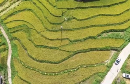 鄉(xiāng)村行 看振興|科技賦能農業(yè)現(xiàn)代化發(fā)展