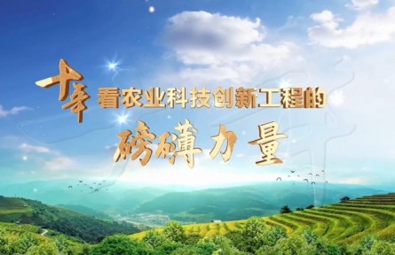 十年，看農(nóng)業(yè)科技創(chuàng)新工程的磅礴力量