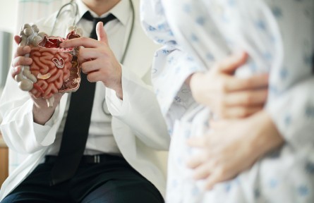 科技名詞|消化系統(tǒng) alimentary system，digestive apparatus