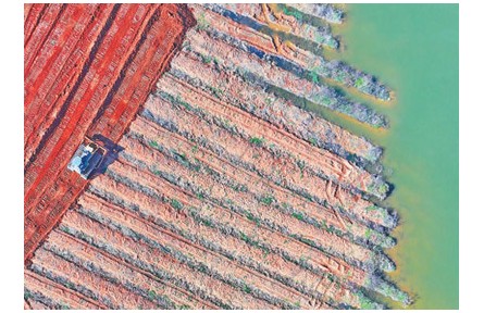 高標(biāo)準(zhǔn)農(nóng)田建成面積10億畝 進(jìn)一步夯實(shí)糧食安全根基