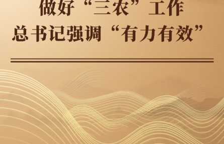 做好“三農(nóng)”工作 總書記強調“有力有效”