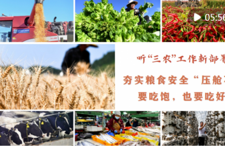 聽(tīng)“三農(nóng)”工作新部署｜夯實(shí)糧食安全“壓艙石”：要吃飽，也要吃好