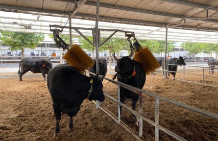 山東“土特產(chǎn)”，為啥能端上全球餐桌