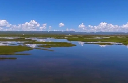 【新思想引領新征程】書寫新時代黃河流域生態(tài)保護新篇章