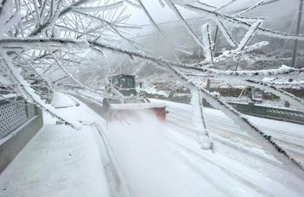 “凍到發(fā)紫”！今年首場寒潮“速遞”南方
