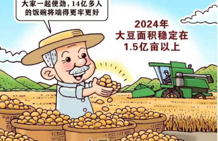 新華鮮報丨中國穩(wěn)糧新看點！ “金豆豆”1.5億畝以上