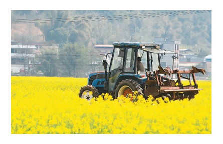 一號文件，繪就鄉(xiāng)村全面振興“路線圖”