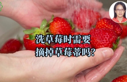 洗草莓時需要摘草莓蒂嗎？