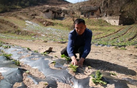 貴州黔南長順：人勤春來早 春耕正當(dāng)時(shí)