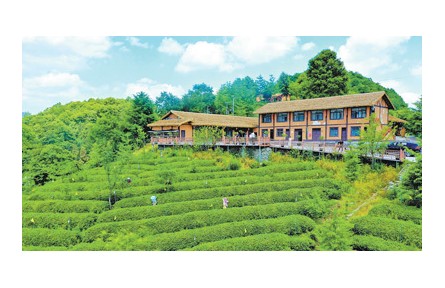 “中國的鄉(xiāng)村文化活動越來越豐富、越來越精彩”