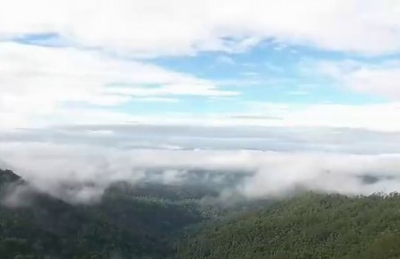 云南：“產(chǎn)業(yè)化 規(guī)?；?標(biāo)準(zhǔn)化 品牌化”推動(dòng)云茶產(chǎn)業(yè)高質(zhì)量發(fā)展